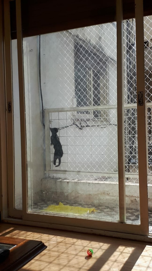 mallas para gatos de seguridad nylon balcones (128)