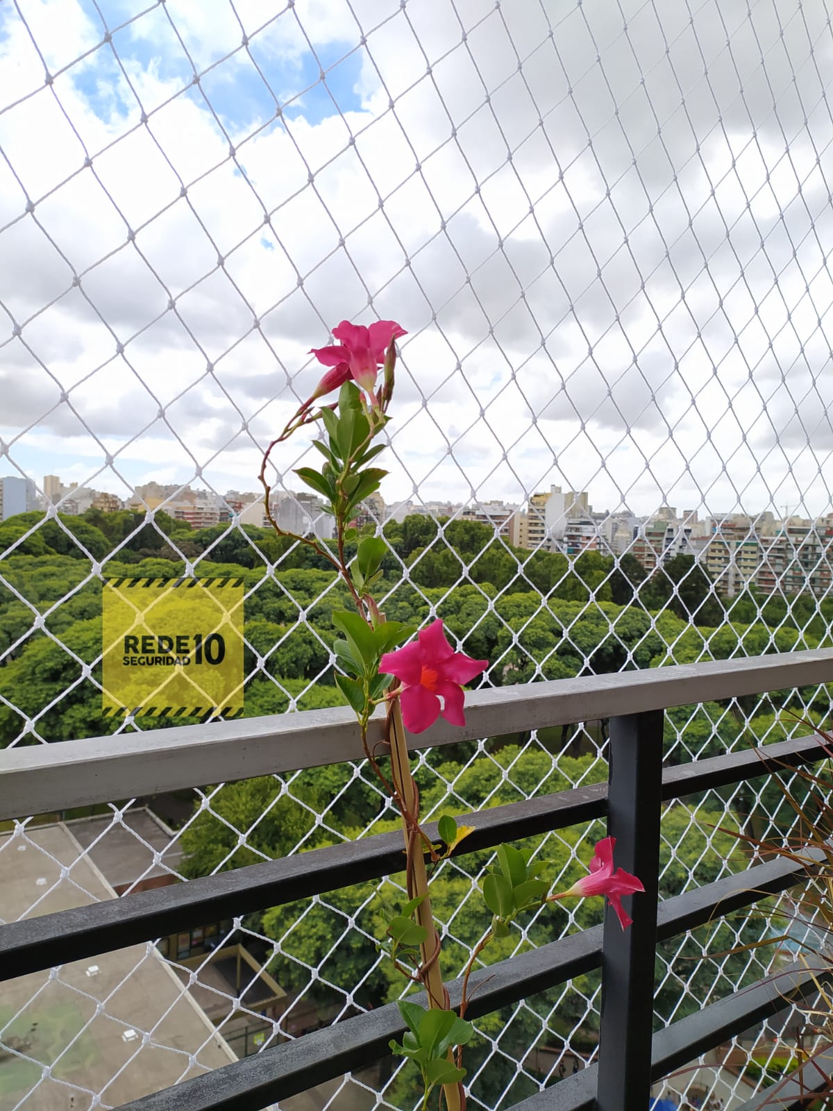 mallas para gatos de seguridad nylon balcones (119)