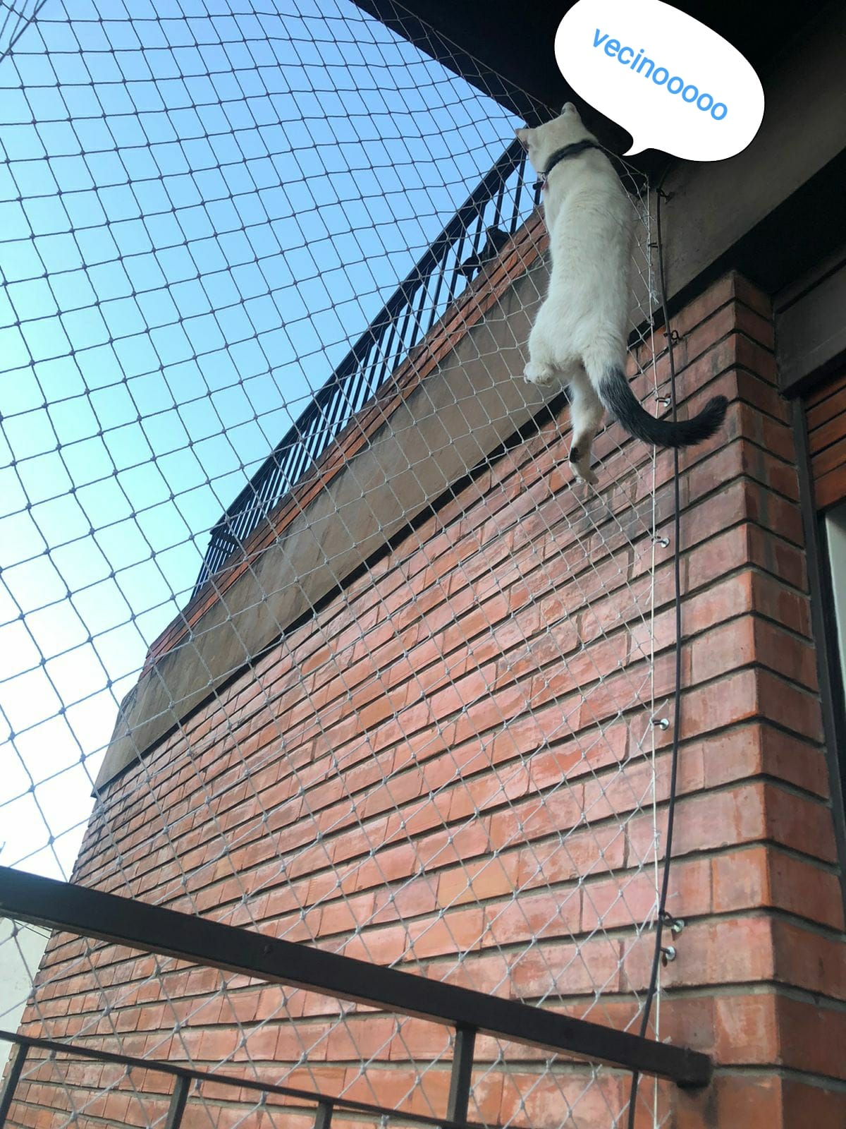 mallas para gatos de seguridad nylon balcones (145)